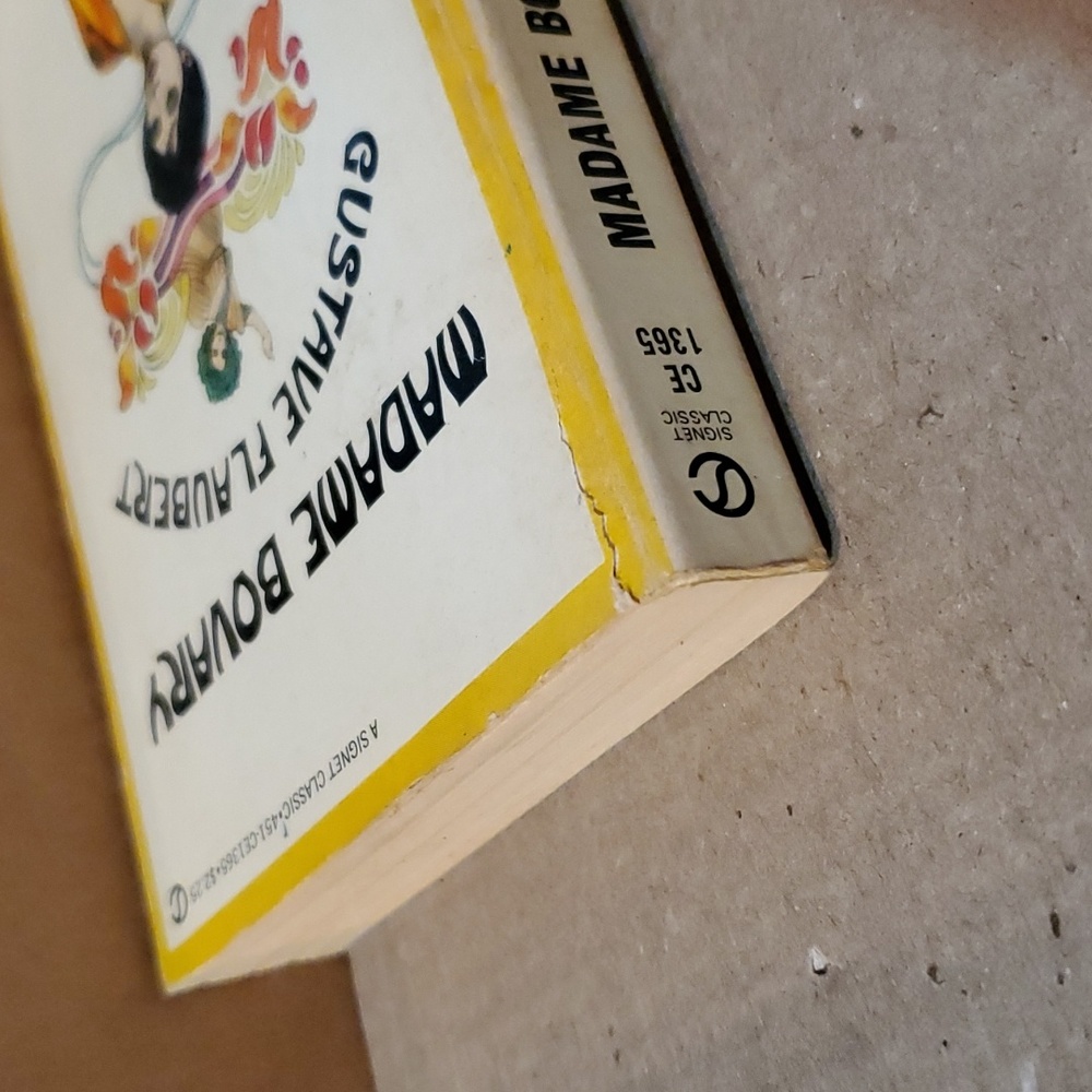 🇫🇷 Madame Bovary Gustave Flaubert paperback book - Picture 11 of 11